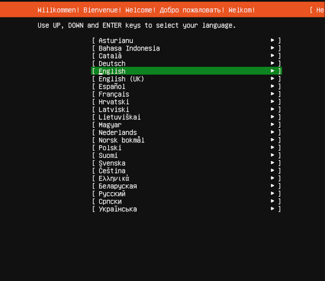 Ubuntu server installation language selection screen