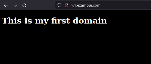 1st domain 